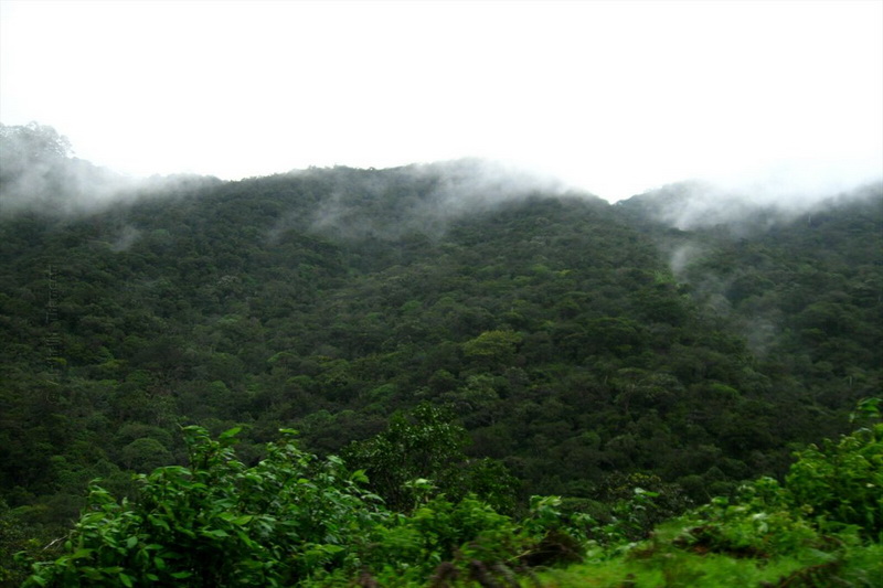 Sri Lanka, Nuwara Eliya